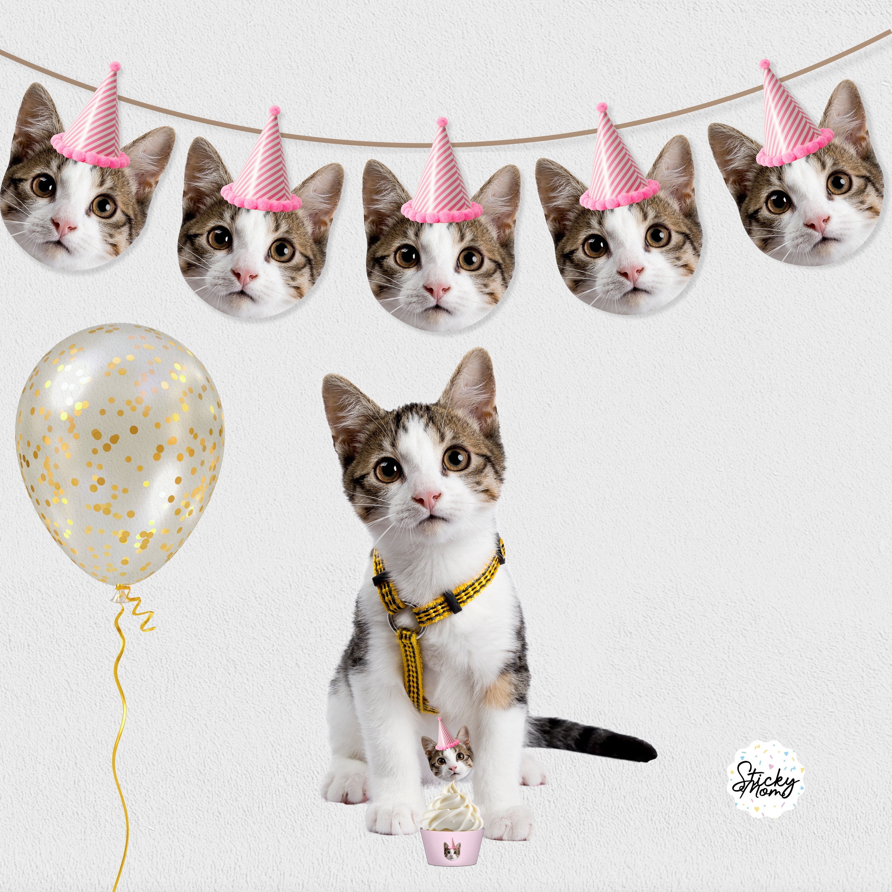 Cat Birthday Outfit - Etsy