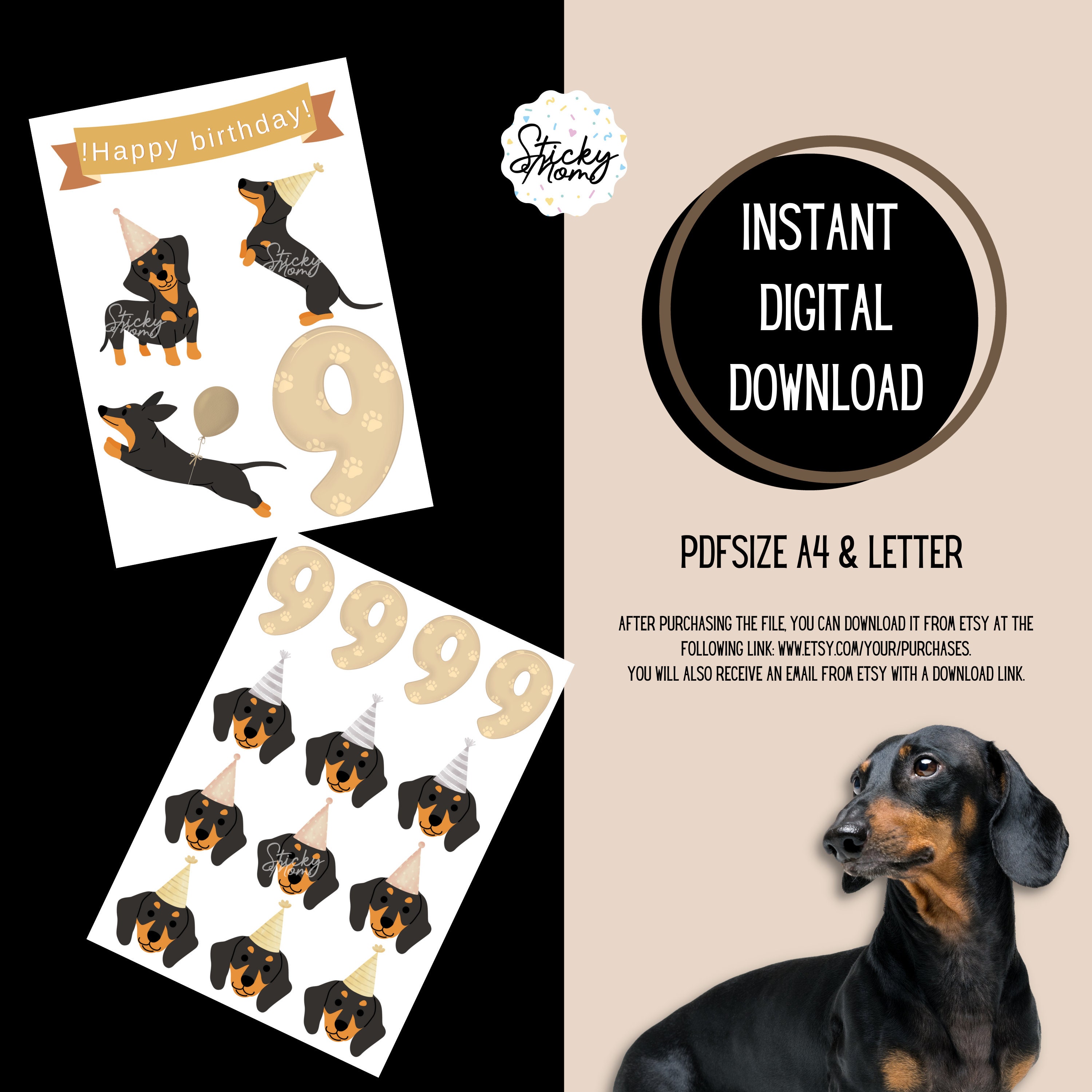 Boerni Decorazione di Compleanno Cane 13 Pezzi Banner di
