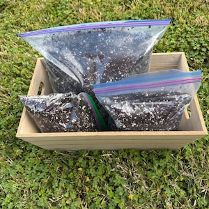 May include: Three clear plastic bags filled with soil, sealed with blue and purple zippers, sit inside a light brown wooden tray. The tray is on a bed of green grass. The bags contain dark soil with white flecks.