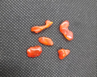 May include: Five polished, irregularly shaped, bright orange-red gemstones. The stones have a smooth, glossy surface and vary in size and form. They are displayed against a dark gray, textured background.