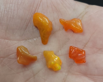 May include: Five polished, orange-colored opal gemstones of varying shapes and sizes are displayed in a hand. The opals have a glossy, translucent appearance, with some showing hints of yellow and red hues. The gemstones are irregularly shaped.