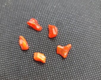 May include: Five small, irregularly shaped, polished orange-red gemstones are scattered on a dark gray textured surface. The stones have a glossy, translucent appearance, catching the light and displaying variations in color intensity.