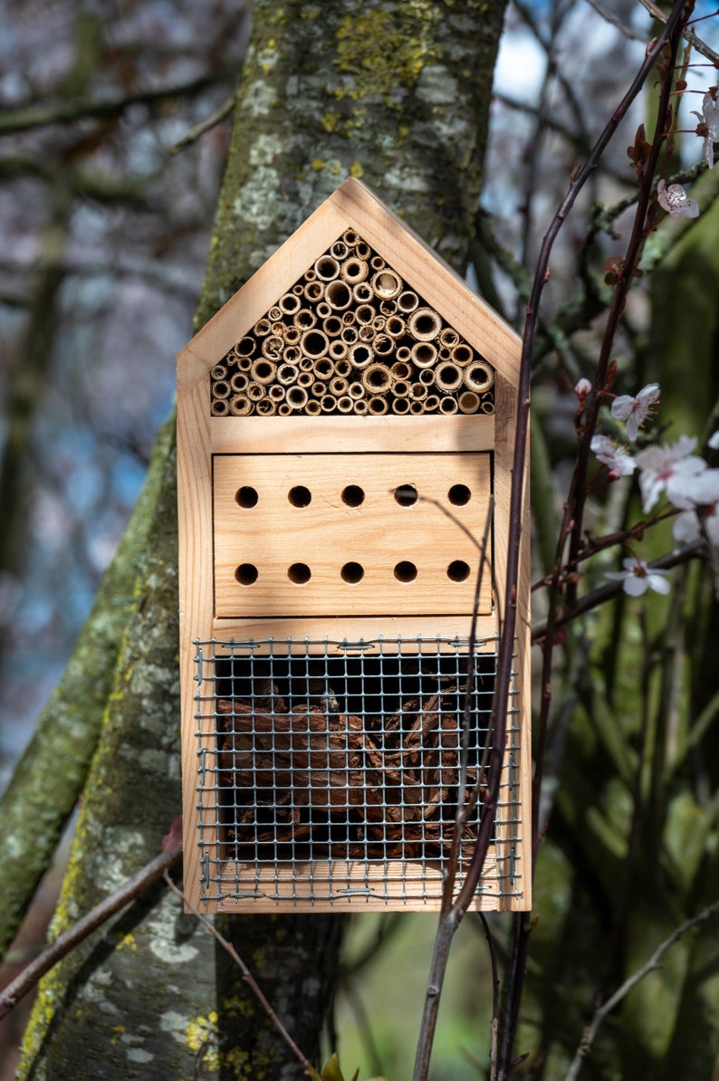 Wooden Insect Hotel and Bee House/ Insect Bird Hotel/ Wood Bug Shelter/ Wildlife Habitat/ Garden decoration/ Insect Hotel/ Homestead Decor image 7