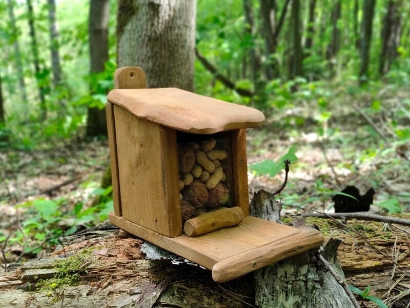 Boîte d'alimentation d'écureuil, maison d'alimentation d'écureuil avec  couverture verte, robuste