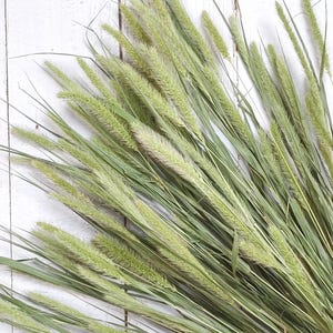 Colorado Flower Farm Dried Grasses: Natural Decorative Stems