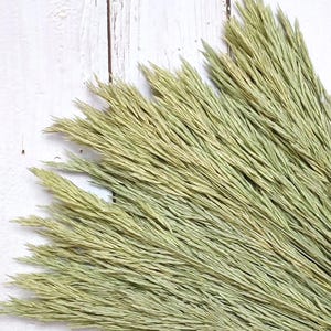 Colorado Flower Farm Dried Grasses: Natural Home Decor, Craft Supply