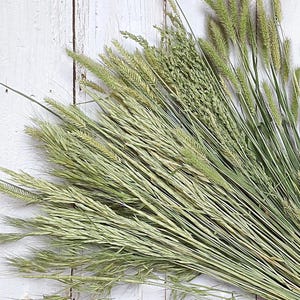 Mixed Dried Grass Bunch: Colorado Flower Farm Decor