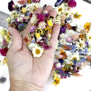 Meadow Wedding Confetti • Wedding Toss • Real Dry Flowers • Petal Conf –  Lizzy Lane Farm Apothecary