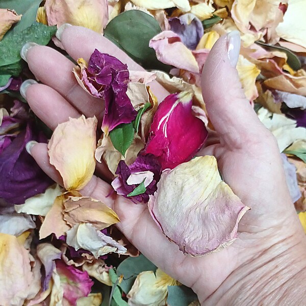 Bulk Rose Petals Etsy