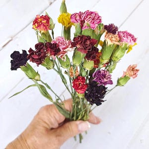 May include: A small bouquet of dried carnations in various colors, including red, pink, yellow, purple, and black. The flowers are held together with green stems and leaves. The background is a white wooden surface.