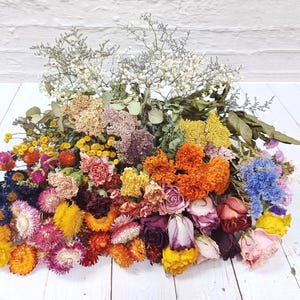 Dried Flowers, Long Stem Dried Flowers, Mixed Dried Flowers, Dried Craft Flowers, Loose Dried Flowers, Box of 100 or 200 Dried Flowers