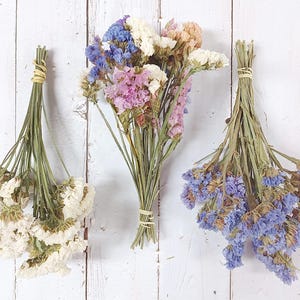 Colorful Dried Statice Flower Bunch: Natural Home Decor, 7-9&quot; Stems