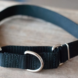 Handmade Custom Martingale Collars for Dogs