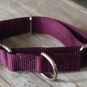 Handmade Custom Martingale Collars for Dogs
