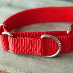 Handmade Custom Martingale Collars for Dogs