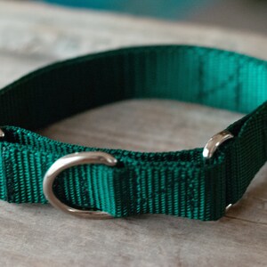 Handmade Custom Martingale Collars for Dogs