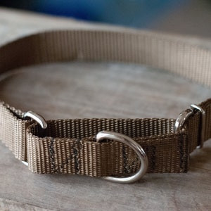 Handmade Custom Martingale Collars for Dogs