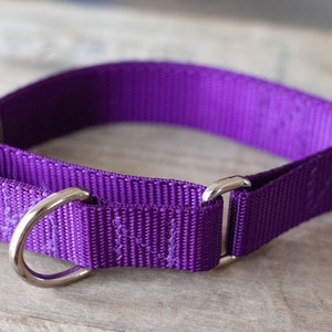 Handgemachtes Martingale Hundehalsband | Martingale Halsband | Lila Kragen