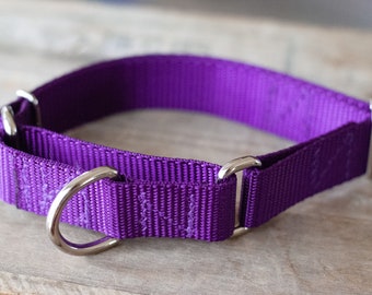 Handmade Martingale Dog Collar | Martingale Collar | Purple Collar