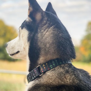 Handmade Custom Martingale Collars for Dogs