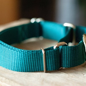 Handmade Custom Martingale Collars for Dogs