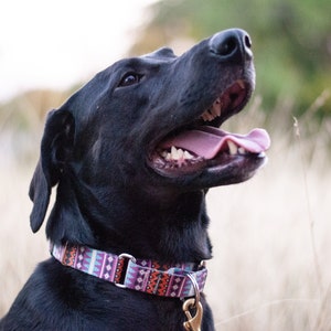 Handmade Custom Martingale Collars for Dogs- Martingale Dog Collar - Martingale Halsband - Martingale Collar - Dog Martingale