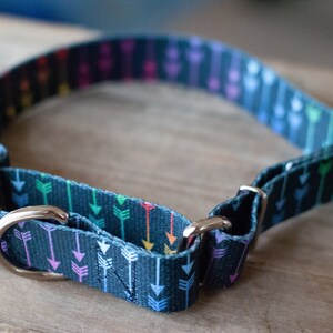 Handmade Custom Martingale Collars for Dogs