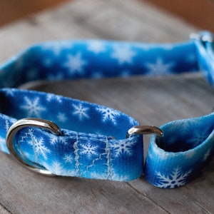 Handmade Custom Martingale Collars for Dogs