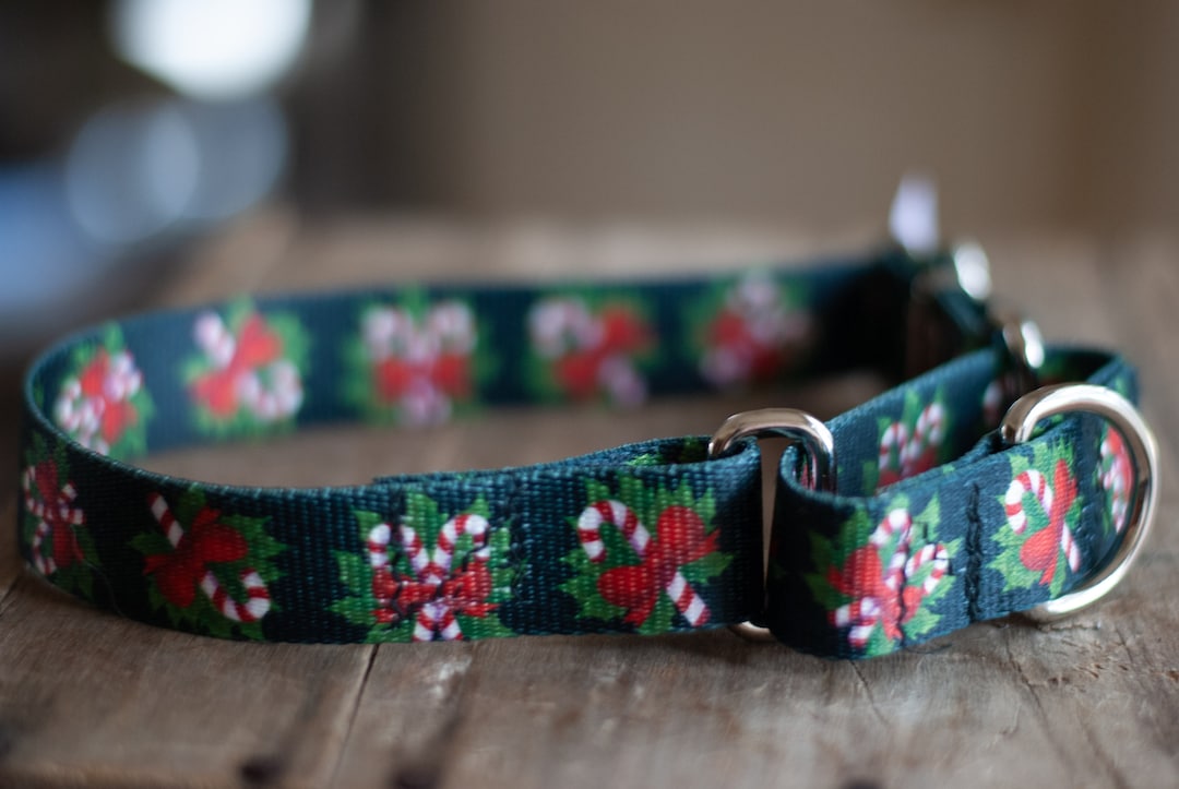Handmade Custom Martingale Collars for Dogs HOLIDAY Winter Etsy