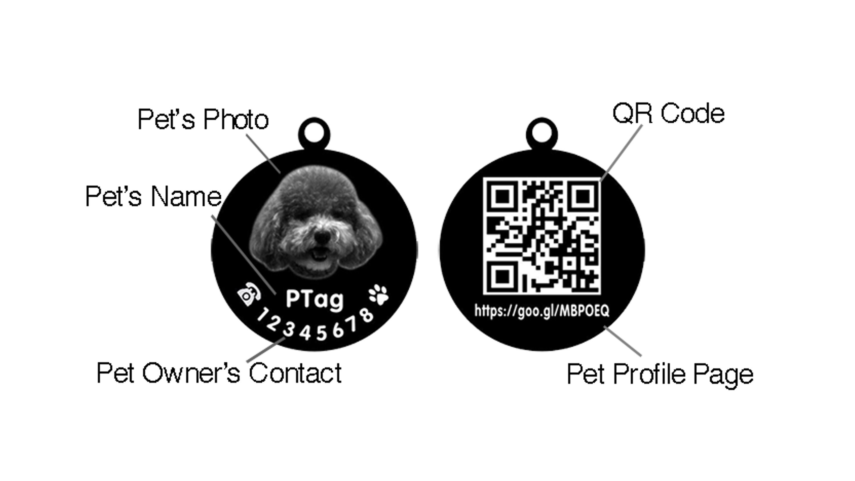 Ptag Personalized QR Code Engraved Pet Tag ID Custom Name Dog Cat Dog