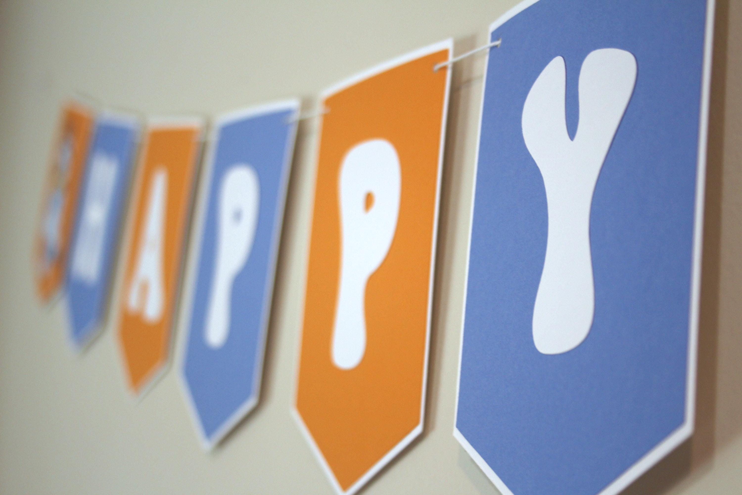 Bluey Inspired Birthday Bunting – Happy Birthday Banner