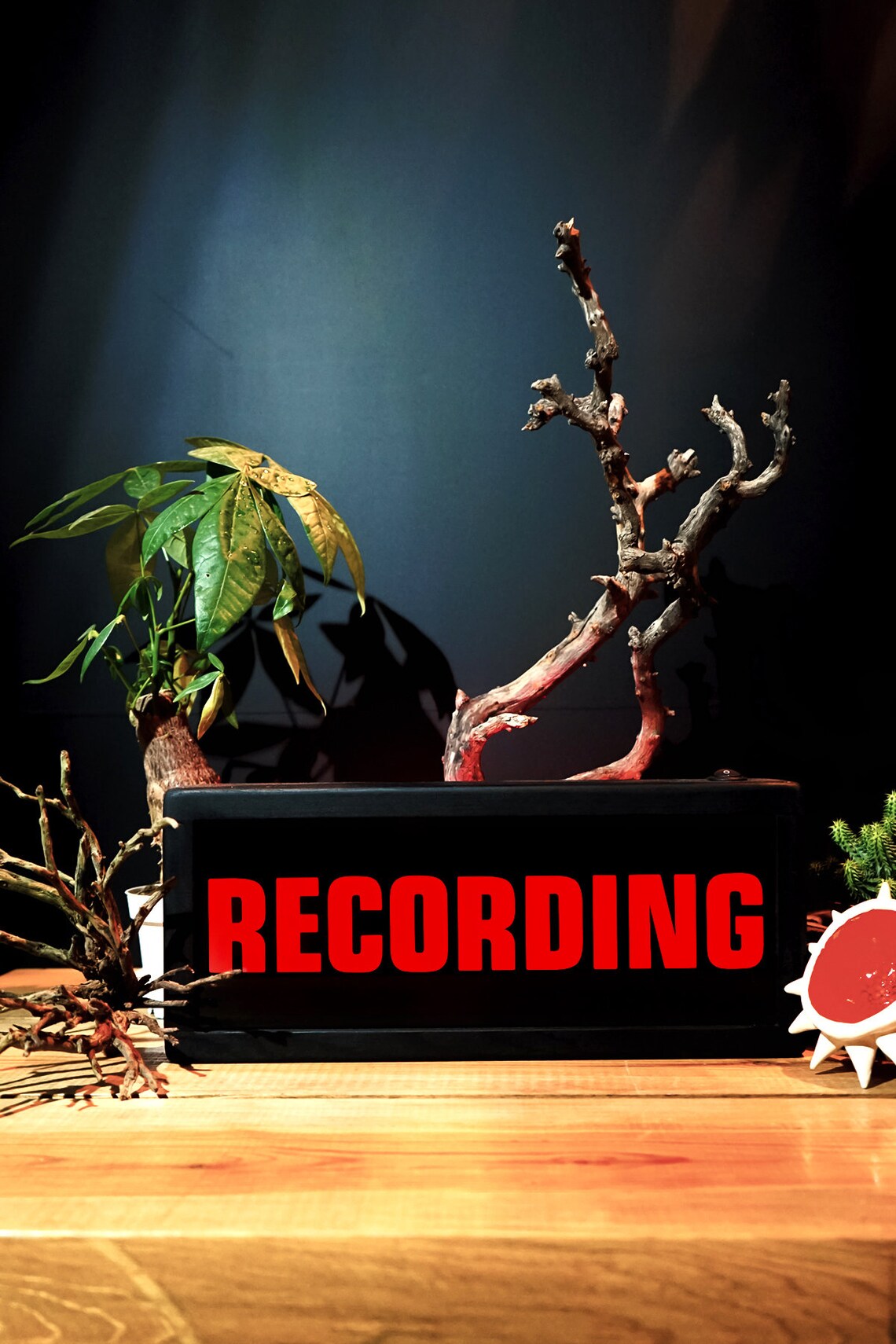 Remote Control RECORDING Sign Light Box Sign Recording Etsy