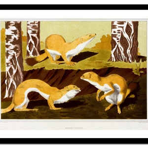 Art Nouveau Print - French Animals Painting - Vintage Poster - Antique Old Picture - Retro Wall Art Decor - A5 A4 A3 A2 A1 A0  (A-no 009)