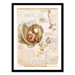 Könnte beinhalten: Eine Schwarzweißzeichnung eines Fötus im Mutterleib, umgeben von anatomischen Skizzen und Notizen in italienischer Sprache. Die Zeichnung befindet sich auf einem Blatt Papier mit braunem Hintergrund.