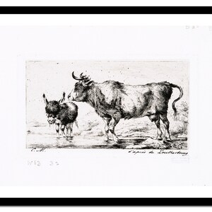 May include: A black and white etching of a cow and a donkey standing in a field. The cow is larger than the donkey and has a long tail. The donkey is smaller and has a shorter tail. The etching is signed "C.W." and dated "1663 35".