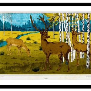 Impresión Art Nouveau - Pintura de animales franceses - Póster vintage - Imagen antigua antigua - Decoración de arte de pared retro - A5 A4 A3 A2 A1 A0 (A-no 002)