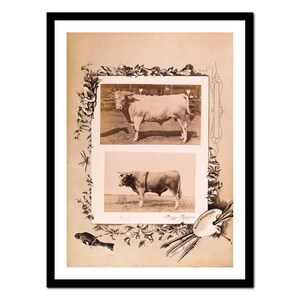 Keuken Art Print - Boerderijdieren Landelijke Stijl - Vintage Poster - Antieke oude foto - Retro Wall Art Decor - A5 A4 A3 A2 A1 A0 (A-ki 030)