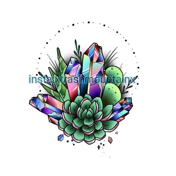 succulent cactus plant Echeveria golden lock rose Rare Succulent Live Plant Live Succulent Cactus main image 1