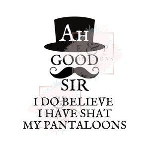 Good Sir Shat My Pantaloons Baby Funny SVG e PNG File, File Cricut, Silhouette Cut Files, divertente tutina per bambini SVG, Ahh Good Sir Shat tutina