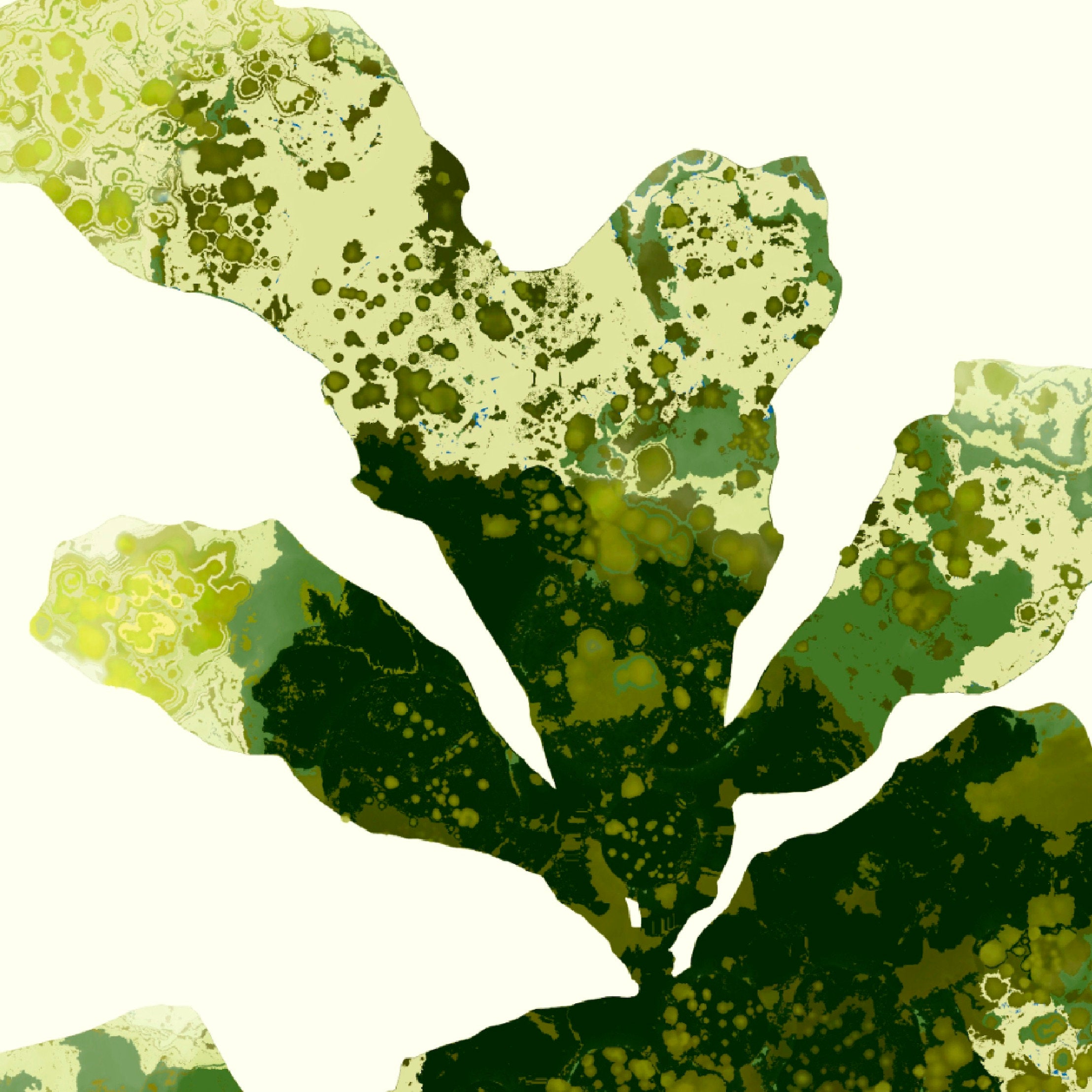 Abstract Green Fiddle Leaf Fig Tree Print - Etsy