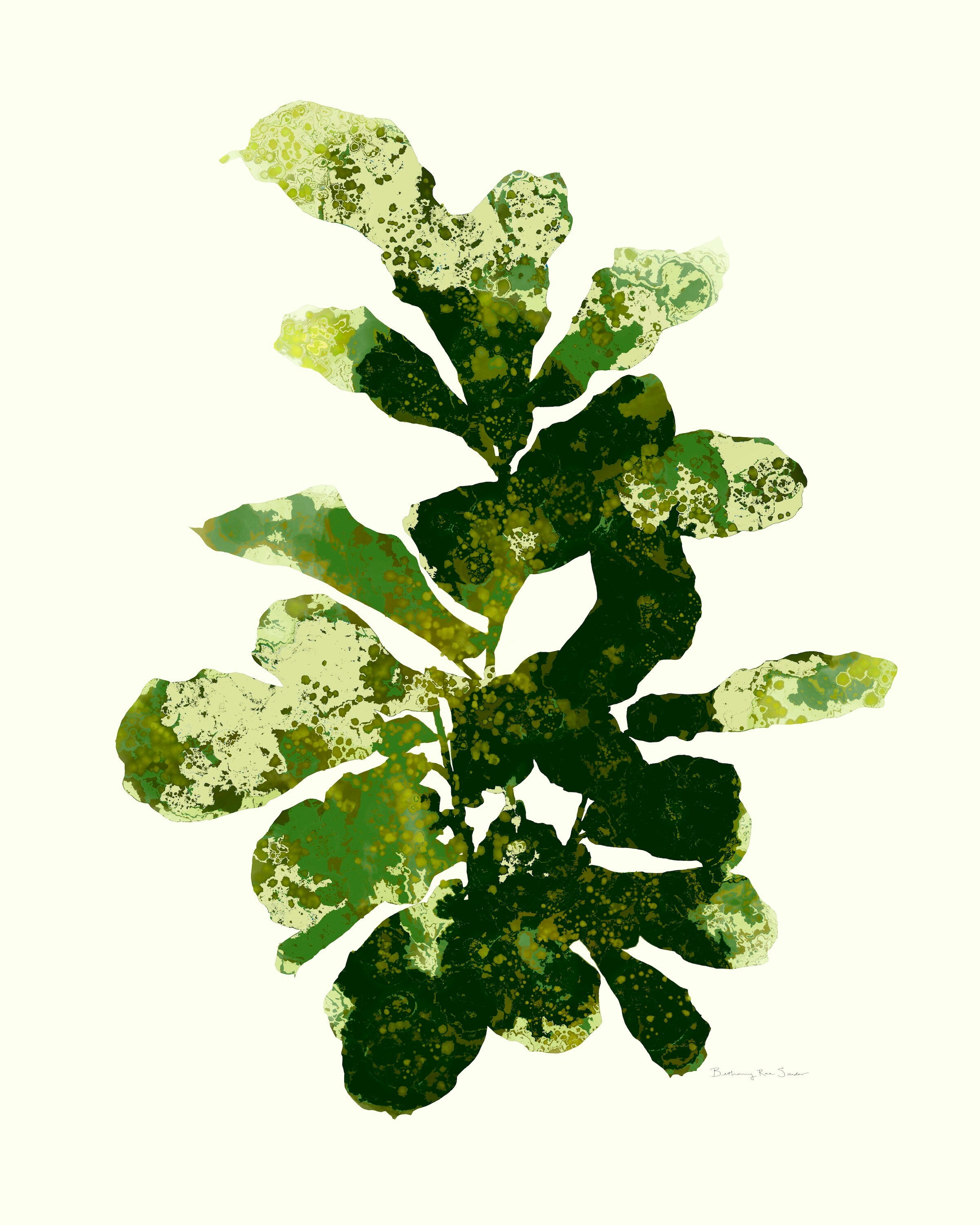 Abstract Green Fiddle Leaf Fig Tree Print - Etsy