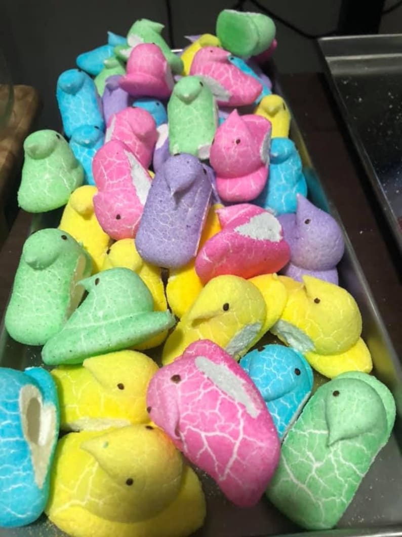 Freeze Dried Peeps flavored marshmallow peeps New Fun Etsy