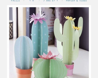 Kit pour créer 4 cactus décoratifs en papier