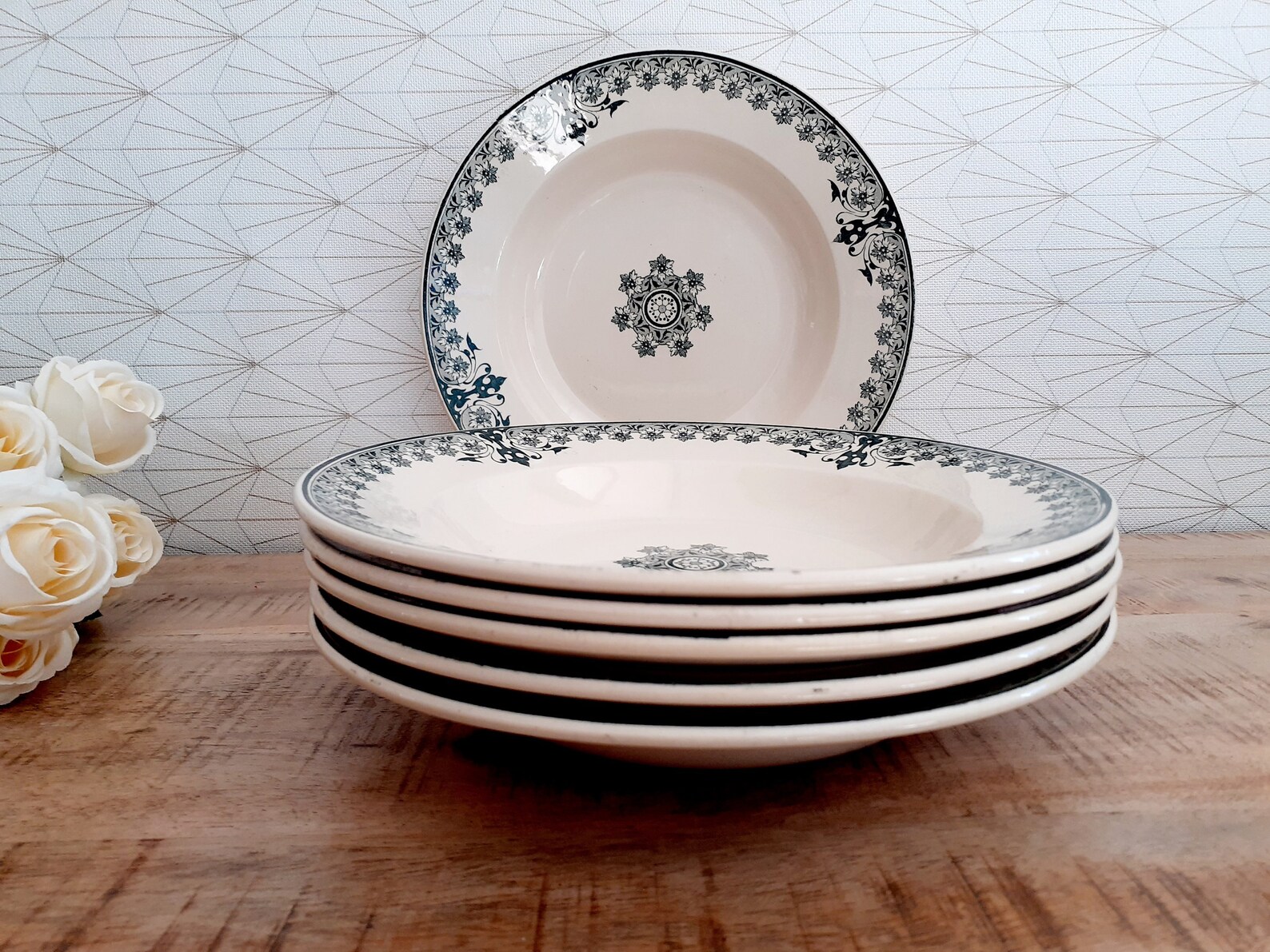 Lot of 6 vintage hollow plates in French earthenware Set of Etsy