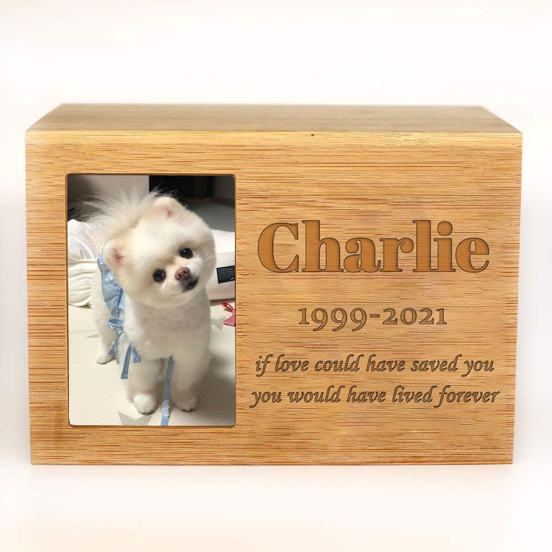 Peut inclure: Une bo&icirc;te comm&eacute;morative en bois pour animaux de compagnie avec une photo d'un chien blanc. La bo&icirc;te porte une inscription grav&eacute;e qui dit "Charlie 1999-2021 si l'amour avait pu te sauver tu aurais v&eacute;cu pour toujours".