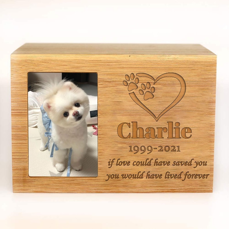 Peut inclure: Bo&icirc;te comm&eacute;morative en bois pour animaux de compagnie avec un cadre photo et un texte grav&eacute;. Le cadre montre un chien blanc portant des v&ecirc;tements bleus. Le texte dit "Charlie 1999-2021 si l'amour avait pu te sauver tu aurais v&eacute;cu pour toujours".