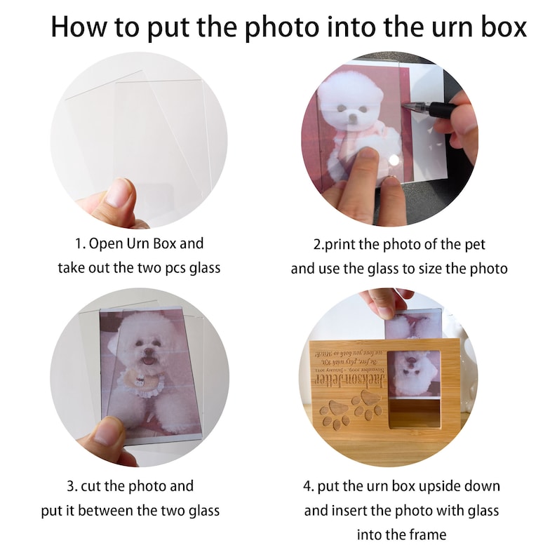 Peut inclure: Instructions sur la fa&ccedil;on d'ins&eacute;rer une photo dans une urne en bois. Les &eacute;tapes sont illustr&eacute;es par des images d'une petite photo de chien plac&eacute;e dans la bo&icirc;te. Les &eacute;tapes sont&nbsp;: 1. Ouvrez la bo&icirc;te d'urne et sortez les deux morceaux de verre. 2. Imprimez la photo de l'animal et utilisez le verre pour dimensionner la photo. 3. D&eacute;coupez la photo et placez-la entre les deux morceaux de verre. 4. Placez la bo&icirc;te d'urne &agrave; l'envers et ins&eacute;rez la photo avec le verre dans le cadre.