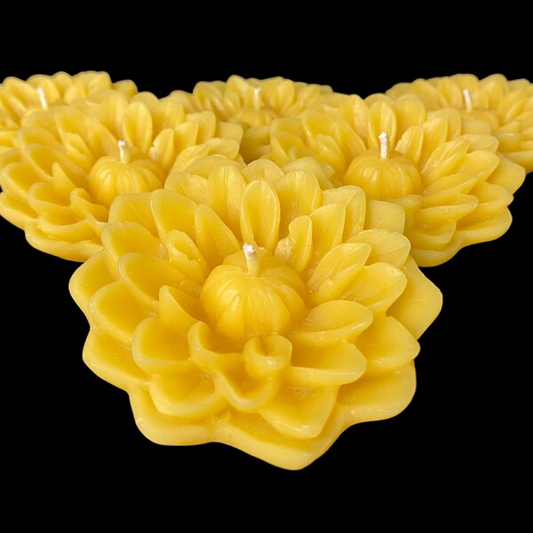 Floating Candles Etsy