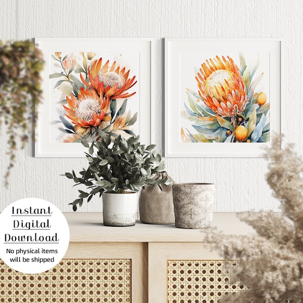 Australian Banksia Delight: Botanical Watercolor Wall Print