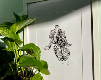 Ilustración original de Iris